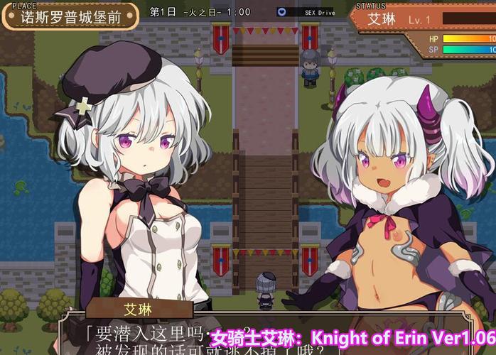 NTR女骑士游戏官网的深度分析与发展前景