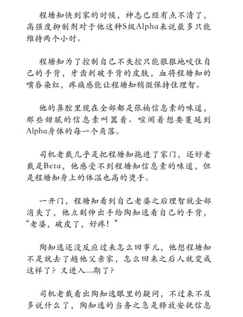 深入解析:如何成为SIgma最新版本的佼佼者