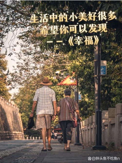 深入了解《幸福的二人房》:安卓平台的独特魅力与玩家体验分析