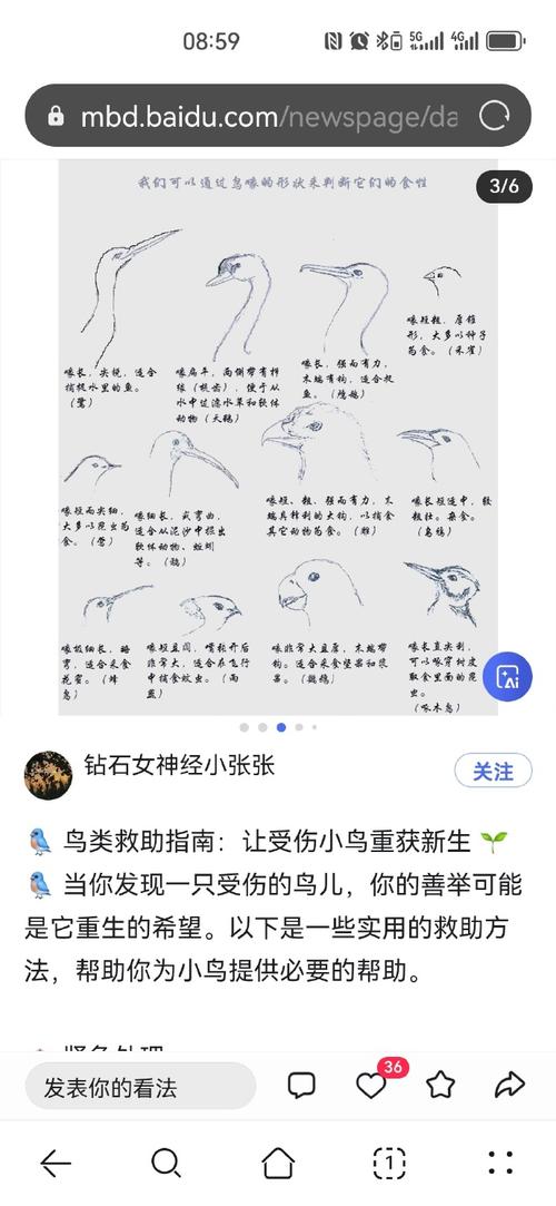 深入剖析《哈奇娜怪异谭》安卓汉化的游戏体验与市场影响