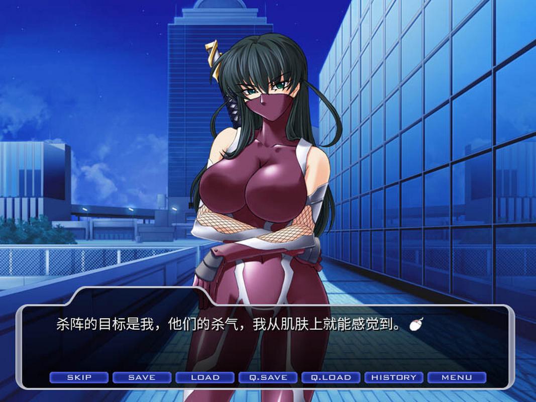 深入解析对魔忍阿莎姬的下载与游戏体验