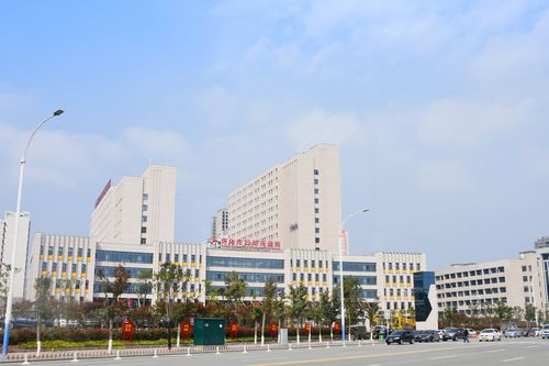 生殖活动学院官网的深度分析与行业影响