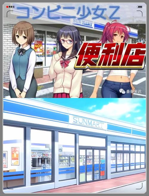 便利店少女更新地址的深度分析与未来展望
