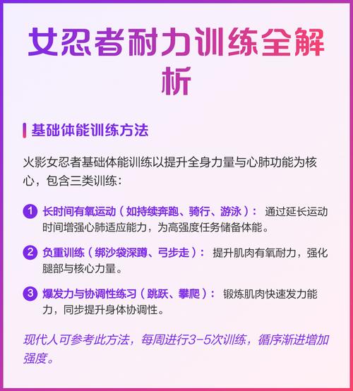 深入解析：女忍者训练师安卓汉化的魅力与挑战