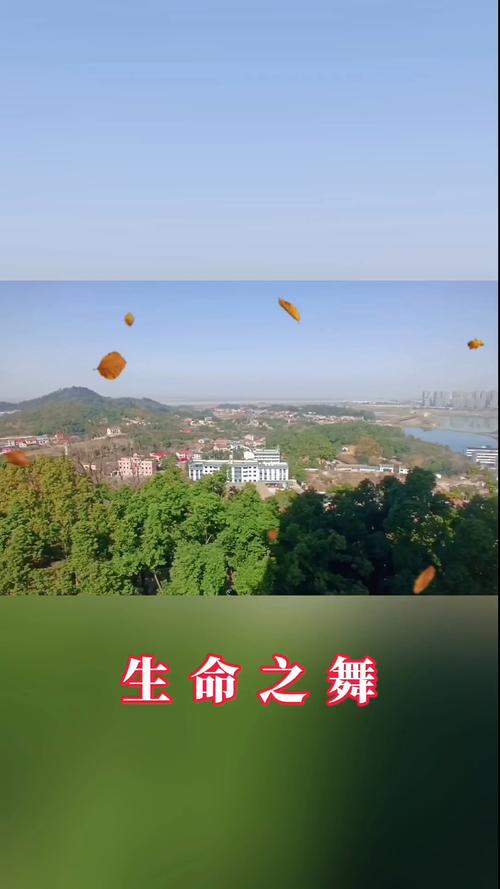 生命之舞官方正式版下载最新版实用教程