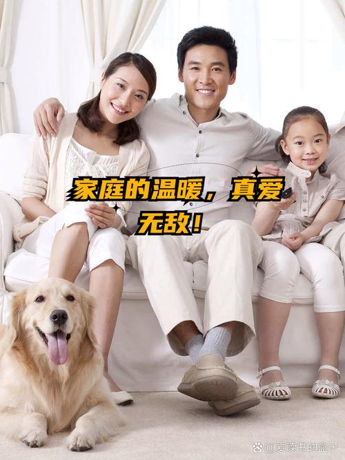 家人在家最新版本深度分析：游戏机制与文化现象