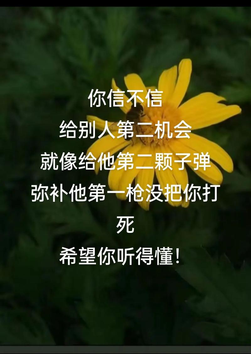 二次机遇最新：如何在绅士游戏中获取更多资源和机会