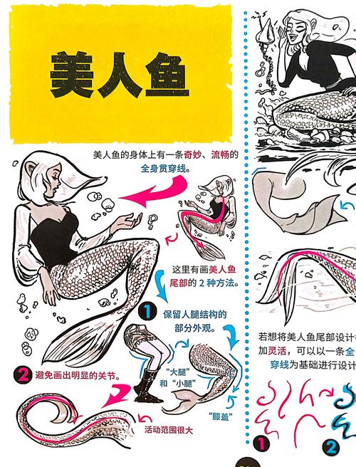 如何在木里人鱼官方网站上畅游海底世界：新手实用教程