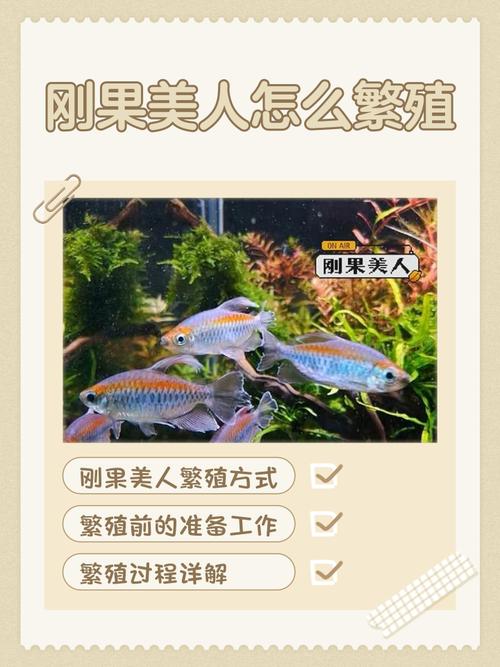 如何在木里人鱼官方网站上畅游海底世界：新手实用教程