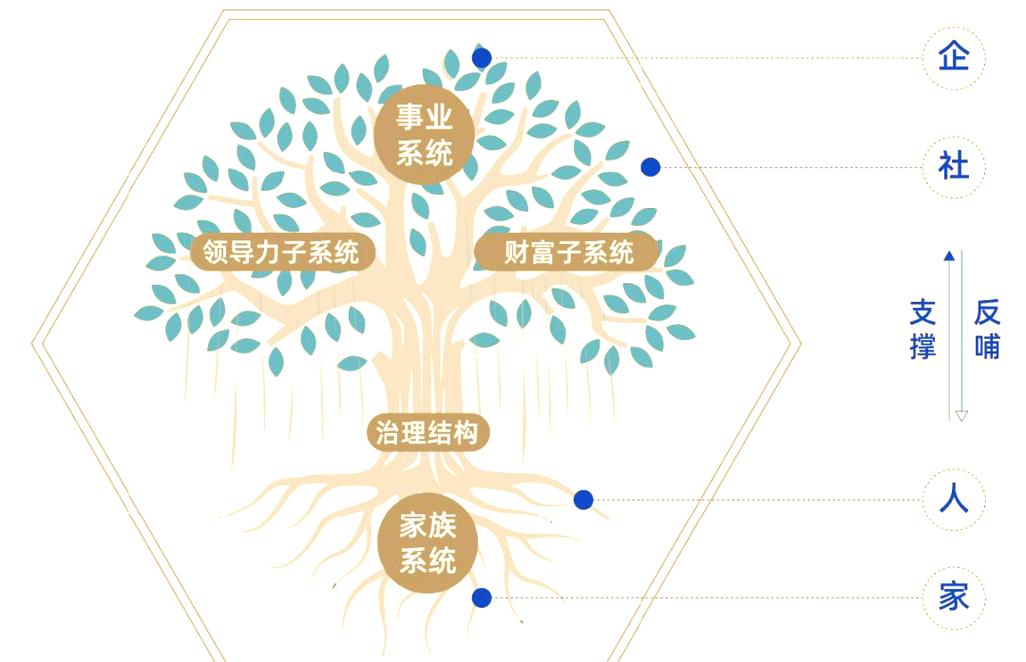 家族事业的全新发展:更新地址的深度分析与前景展望
