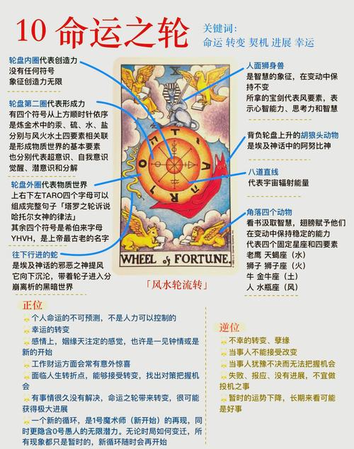 如何安全下载《命轮逆旅》:详细步骤与操作指南
