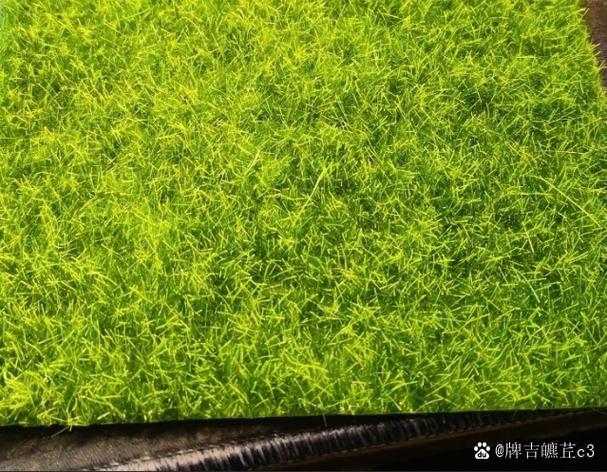 宁静草地游戏全面教程:轻松上手指南