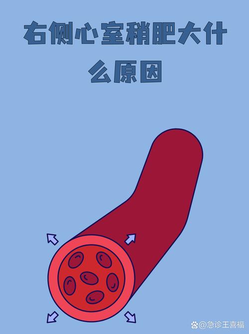 心脏问题汉化版最新更新内容详解及操作指南
