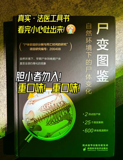 深度解析《变异区》官方正式版下载最新版：潜力与挑战并存
