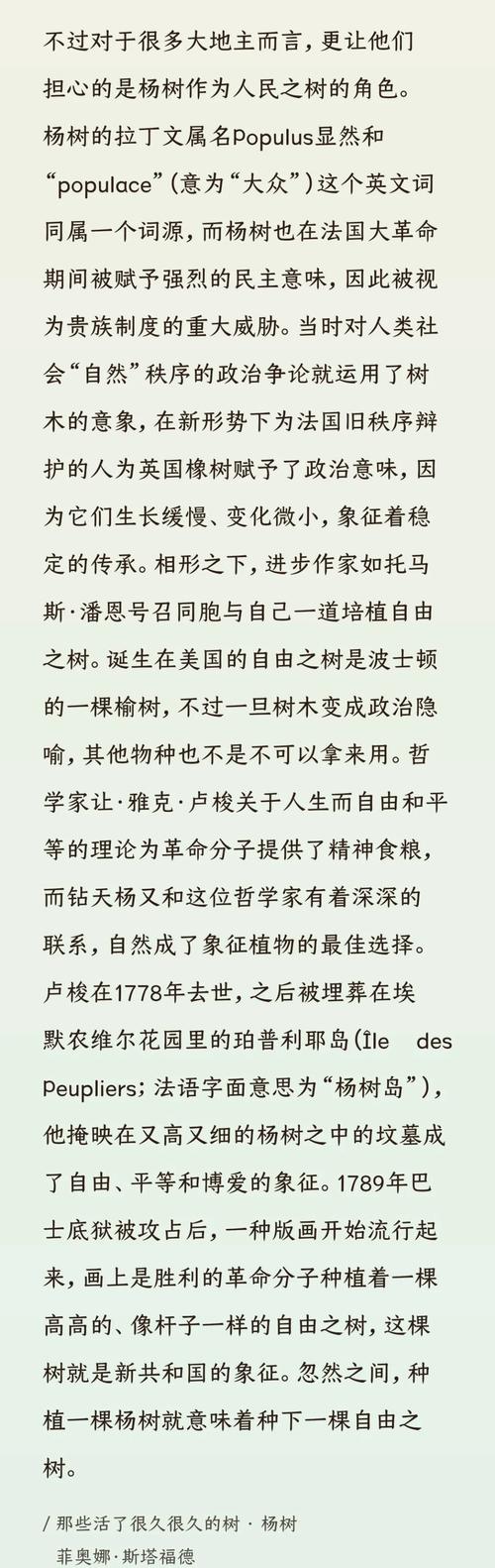 深度解析《森林之子杨过游戏》的世界观与角色机制
