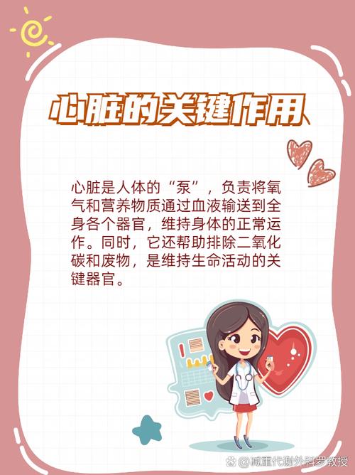 如何解决心脏问题官网上的常见问题:实用教程