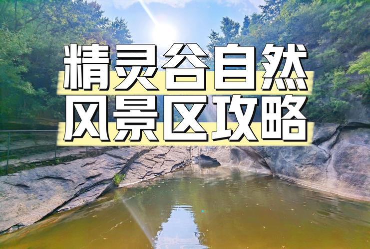精灵谷下载全攻略:如何安全获取与玩家体验的深度分析