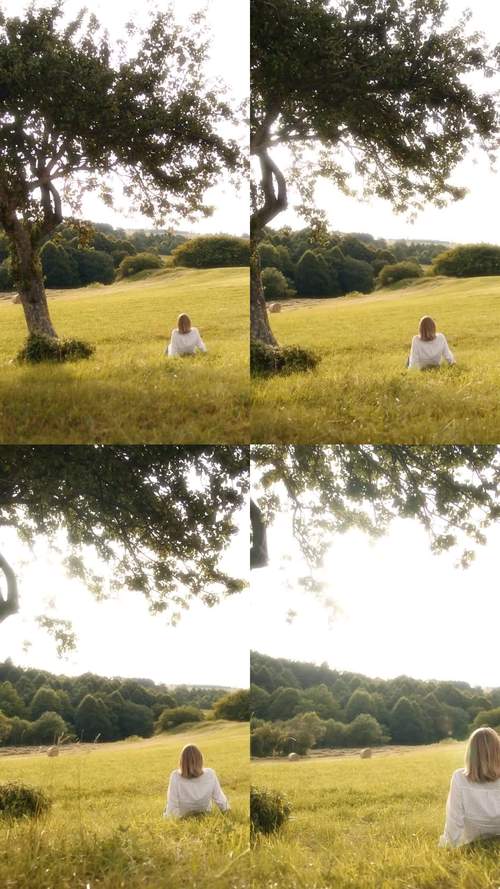 宁静草地汉化版下载详细教程