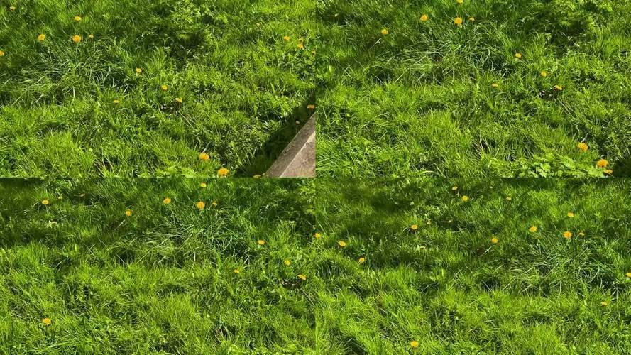 宁静草地汉化版下载详细教程