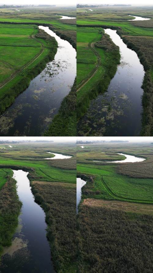 宁静草地汉化版下载详细教程