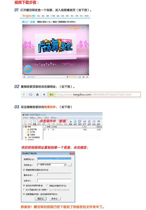 生命之舞下载指南：简单步骤与实用技巧