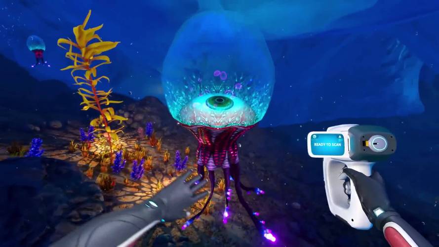 归巢最新版本：深度分析与未来展望