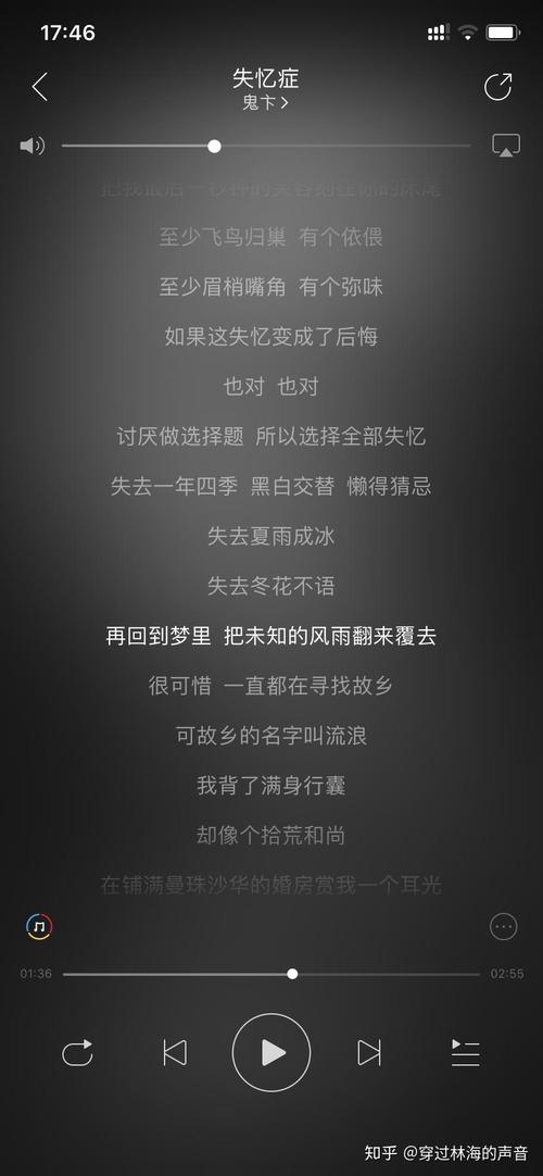 归巢最新版本：深度分析与未来展望