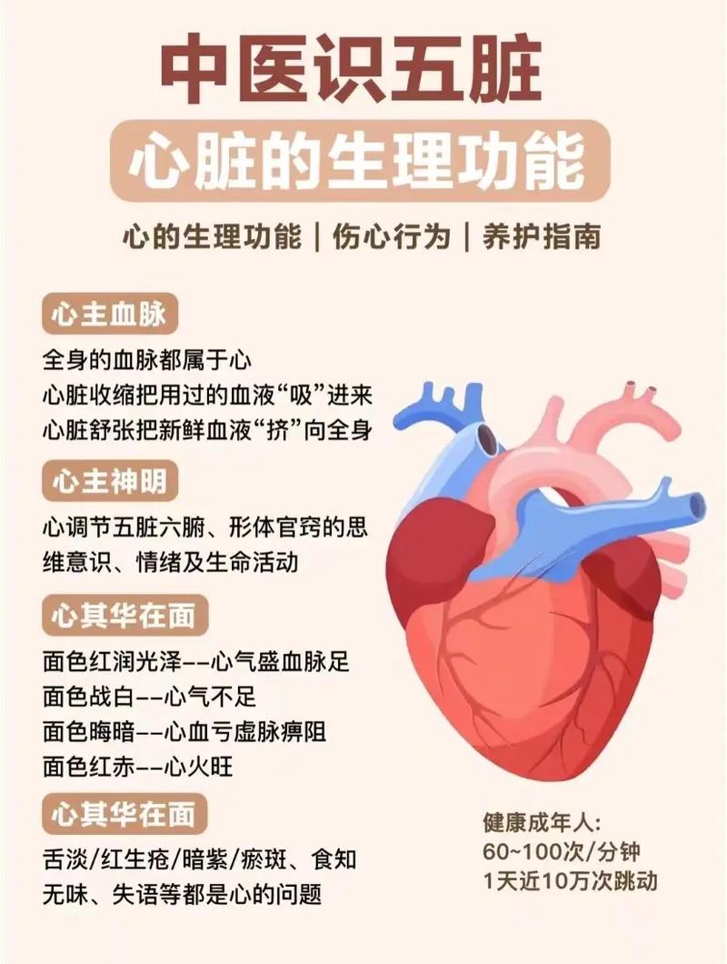 解决心脏问题的实用更新地址教程