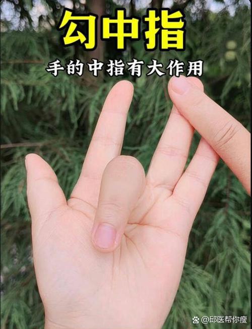 中指通下载指南：掌握获取资源的最佳途径