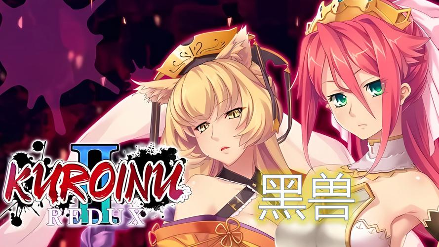 深入探索《黑兽改》：全面攻略与实用技巧