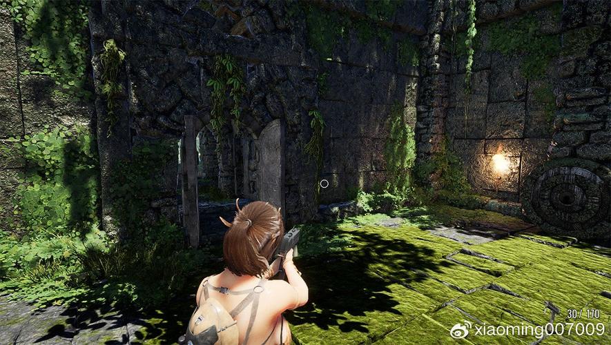 阳光下的野兽最新版本详细教程:新手必看指南