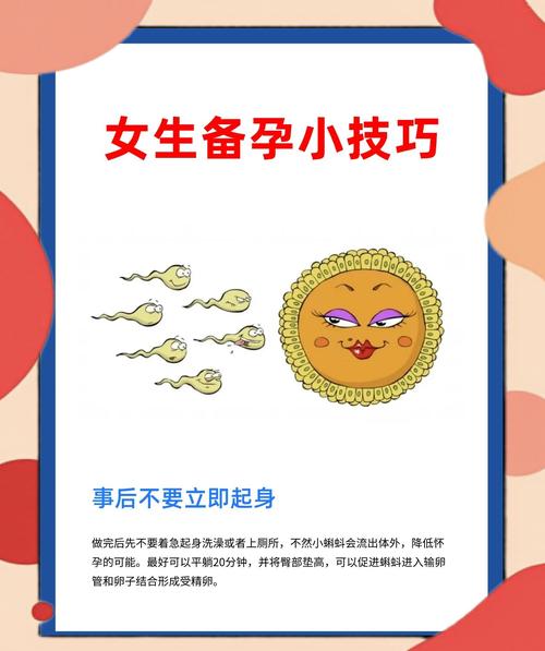 如何高效使用卵之少女游戏官网：详尽教程与技巧