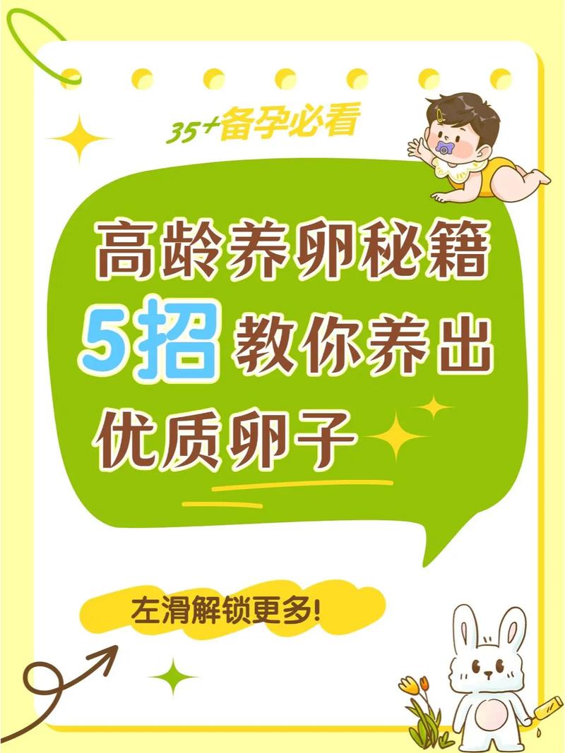 如何高效使用卵之少女游戏官网:详尽教程与技巧