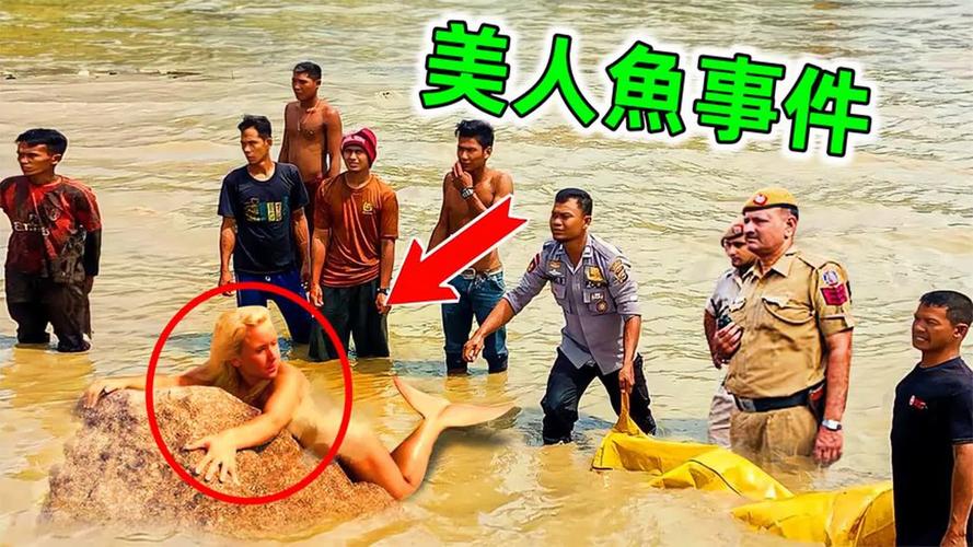 美人鱼之迷更新地址实用教程