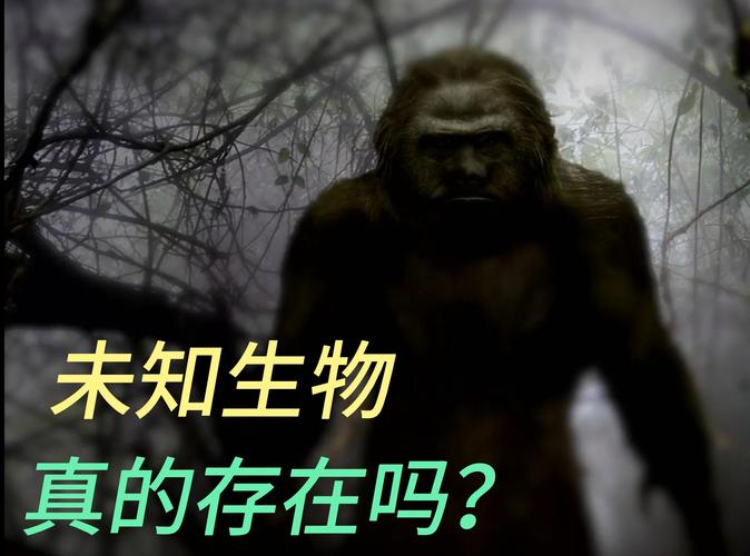 捕获未知生物安卓:探索虚拟生态的未来