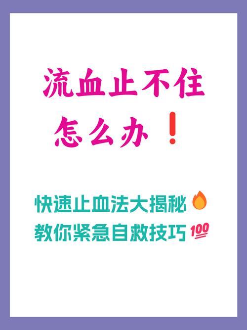 如何高效使用血色流亡者官方网站的教程