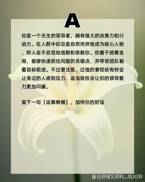 深入解读《球经理2023》：全面攻略与实用技巧