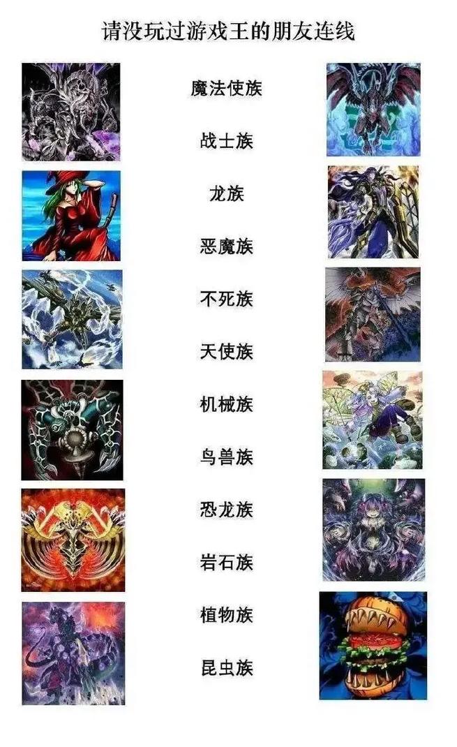 新手必看：种族之王游戏攻略详解