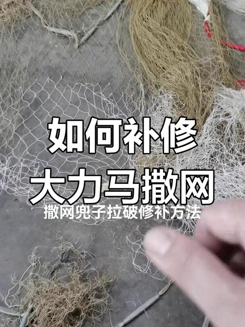 如何高效使用渔网亡灵官网进行游戏攻略