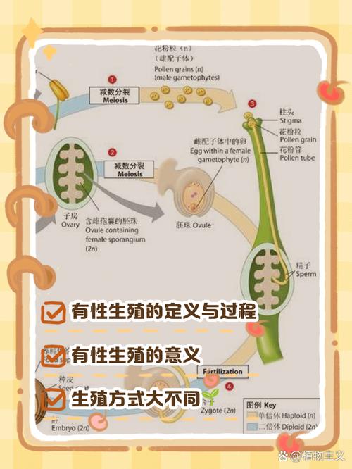 深入分析：生殖活动学院汉化版下载的市场影响与玩家体验