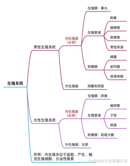 深入分析：生殖活动学院汉化版下载的市场影响与玩家体验