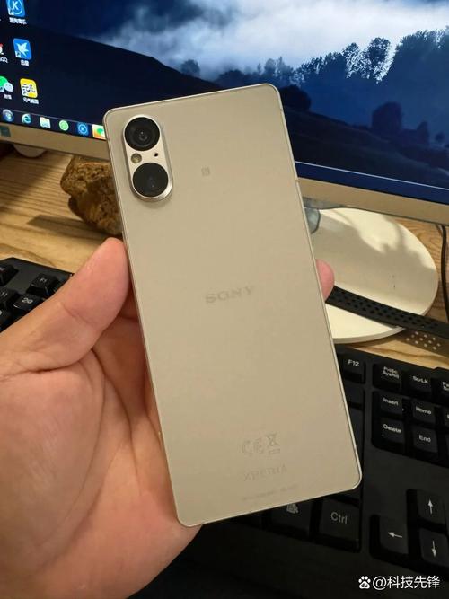 SOAV65版本大全：详细教程与实用技巧