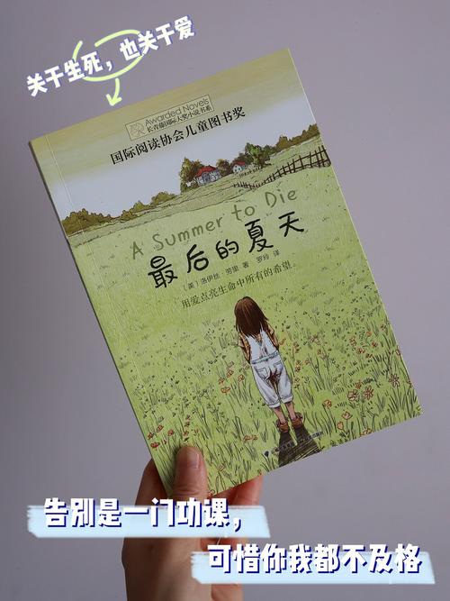 如何查看《最后的夏季》最新版本号：详细教程