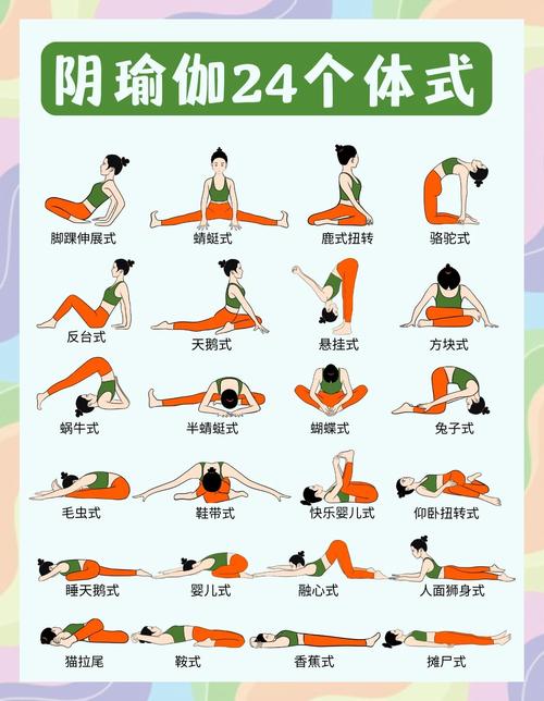 健身房的瑜伽汉化版下载：探讨其行业影响与用户体验