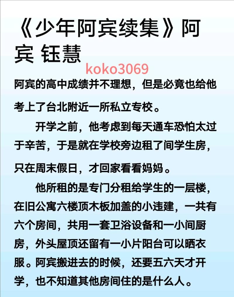 少年阿宾小说游戏介绍：新手必看操作指南