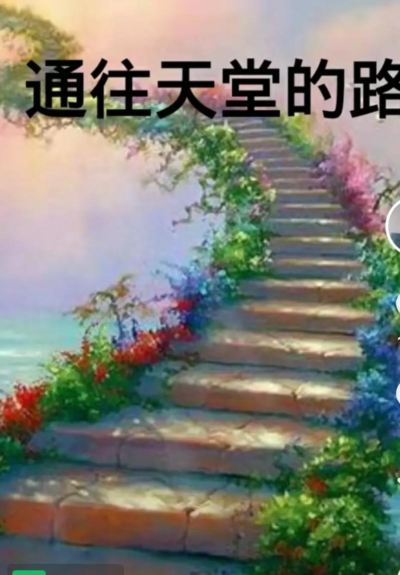 通往天堂的道路版本大全：深度分析与实用建议