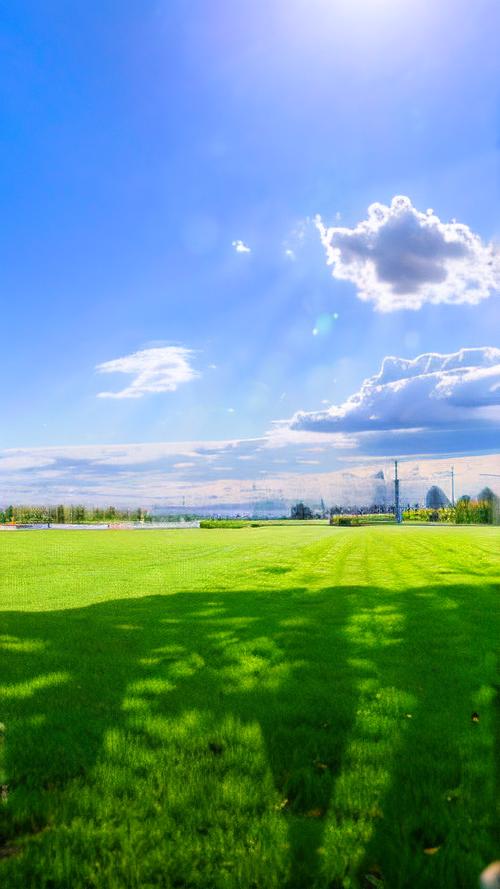 如何轻松实现宁静草地安卓汉化：详细教程