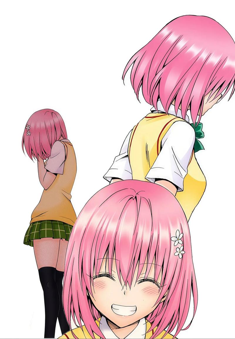 TOlove更新日志：深入分析与专业见解