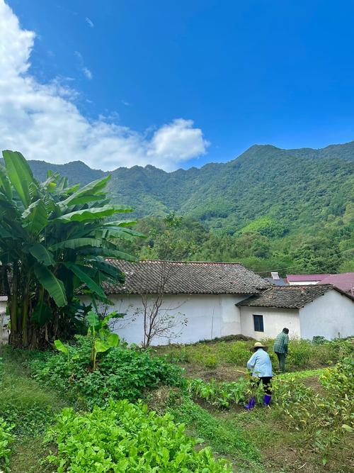 探秘“我的乡村生活”最新版本及其独特魅力
