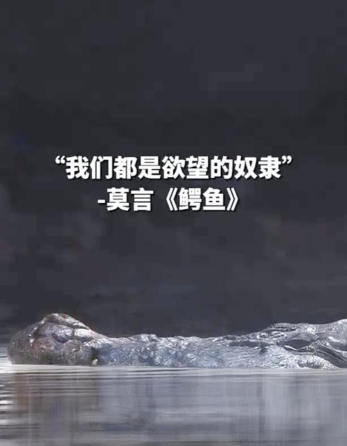 探索“让你烂醉如泥”最新版本的魅力与深度分析